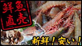 雑賀崎漁協　鮮魚の直売　直接販売について